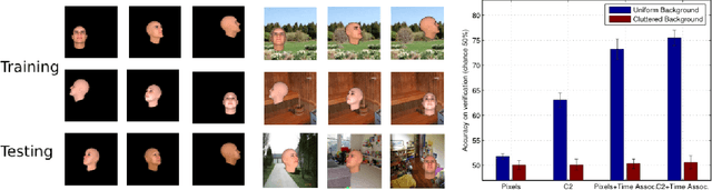 Figure 1 for Unsupervised learning of clutter-resistant visual representations from natural videos