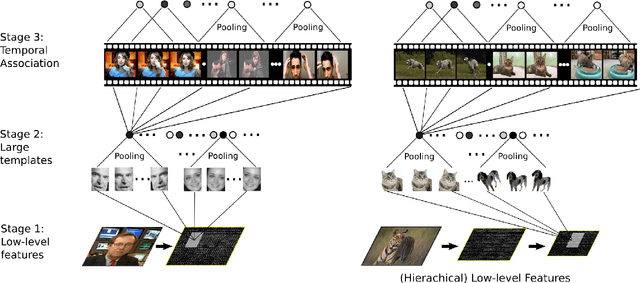 Figure 3 for Unsupervised learning of clutter-resistant visual representations from natural videos