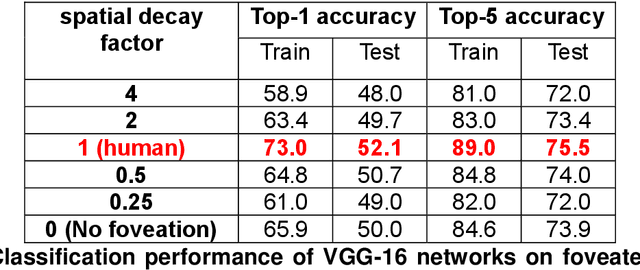 Figure 2 for Human peripheral blur is optimal for object recognition