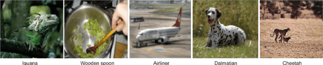 Figure 4 for Human peripheral blur is optimal for object recognition