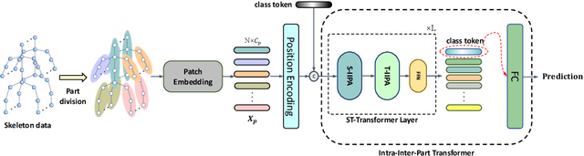 Figure 3 for IIP-Transformer: Intra-Inter-Part Transformer for Skeleton-Based Action Recognition