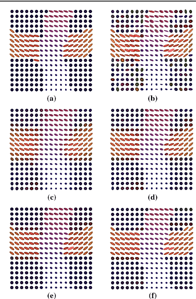 Figure 2 for Mumford-Shah and Potts Regularization for Manifold-Valued Data with Applications to DTI and Q-Ball Imaging