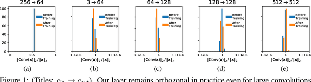 Figure 1 for Orthogonalizing Convolutional Layers with the Cayley Transform