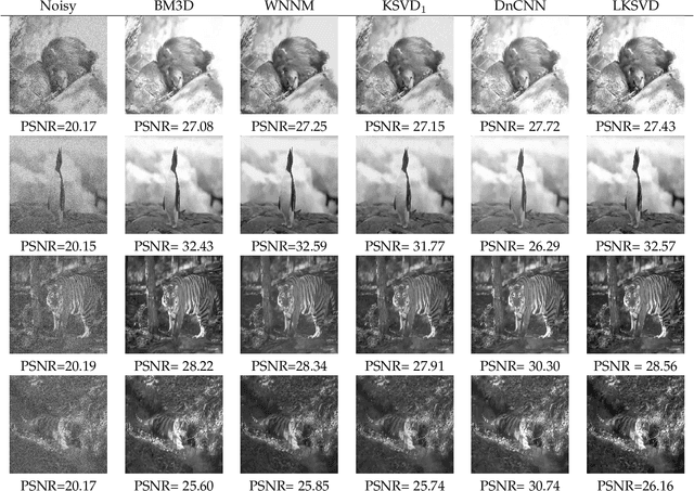 Figure 3 for Deep K-SVD Denoising