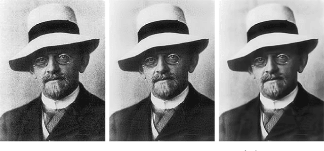 Figure 1 for Blind Image Denoising via Dependent Dirichlet Process Tree