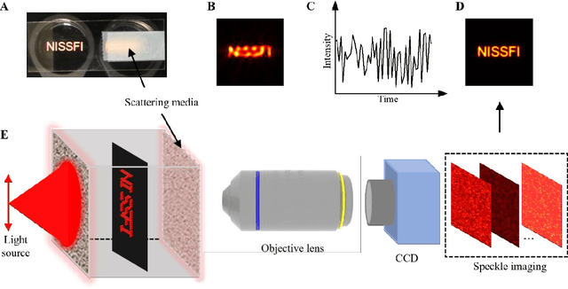 Figure 1 for Non-invasive super-resolution imaging through scattering media using fluctuating speckles
