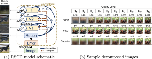 Figure 1 for Perception Over Time: Temporal Dynamics for Robust Image Understanding