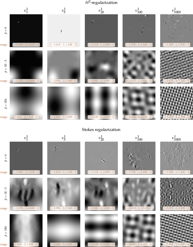 Figure 4 for An inexact Newton-Krylov algorithm for constrained diffeomorphic image registration