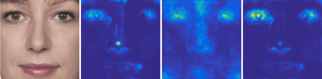 Figure 1 for Focused LRP: Explainable AI for Face Morphing Attack Detection