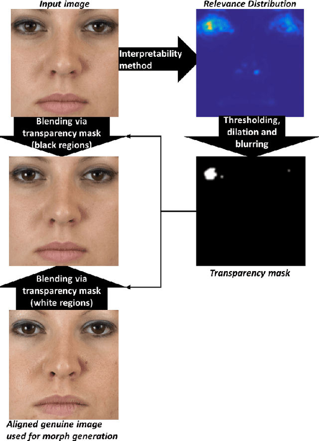 Figure 3 for Focused LRP: Explainable AI for Face Morphing Attack Detection