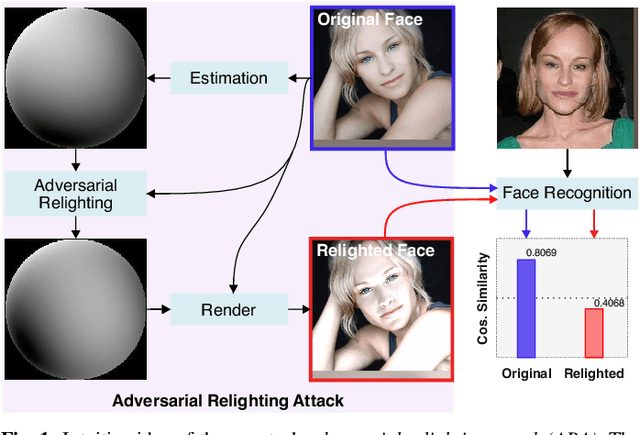 Figure 1 for Adversarial Relighting against Face Recognition