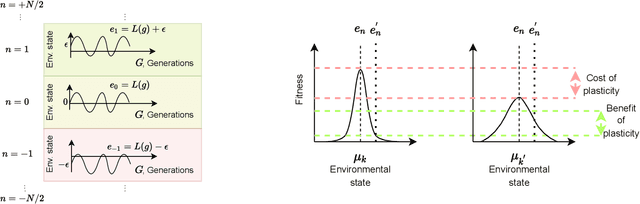Figure 1 for Plasticity and evolvability under environmental variability: the joint role of fitness-based selection and niche-limited competition