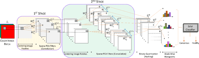 Figure 2 for Lung Cancer Lesion Detection in Histopathology Images Using Graph-Based Sparse PCA Network