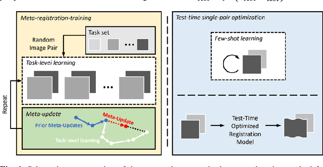 Figure 1 for Meta-Registration: Learning Test-Time Optimization for Single-Pair Image Registration