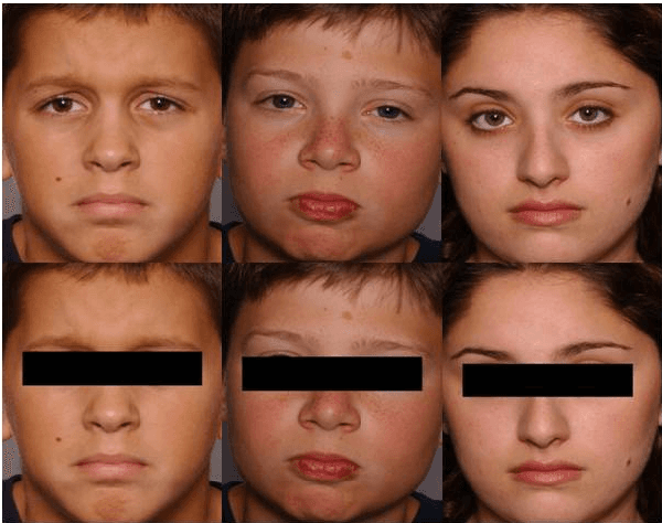 Figure 1 for State of the Art: Face Recognition