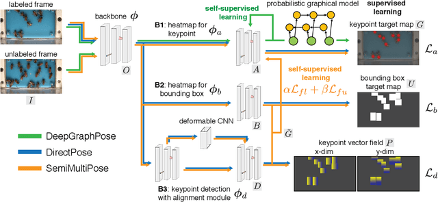 Figure 1 for SemiMultiPose: A Semi-supervised Multi-animal Pose Estimation Framework