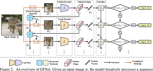 Figure 3 for Glance and Focus: a Dynamic Approach to Reducing Spatial Redundancy in Image Classification