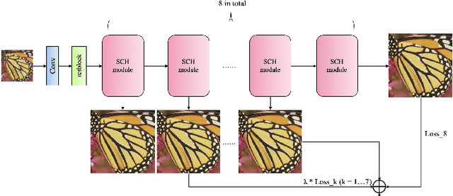 Figure 1 for Blind Image Super-Resolution with Spatial Context Hallucination