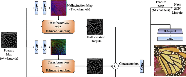 Figure 3 for Blind Image Super-Resolution with Spatial Context Hallucination