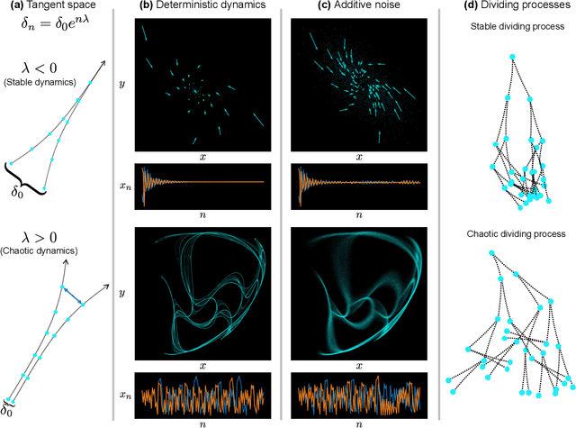 Figure 1 for Detecting chaos in lineage-trees: A deep learning approach