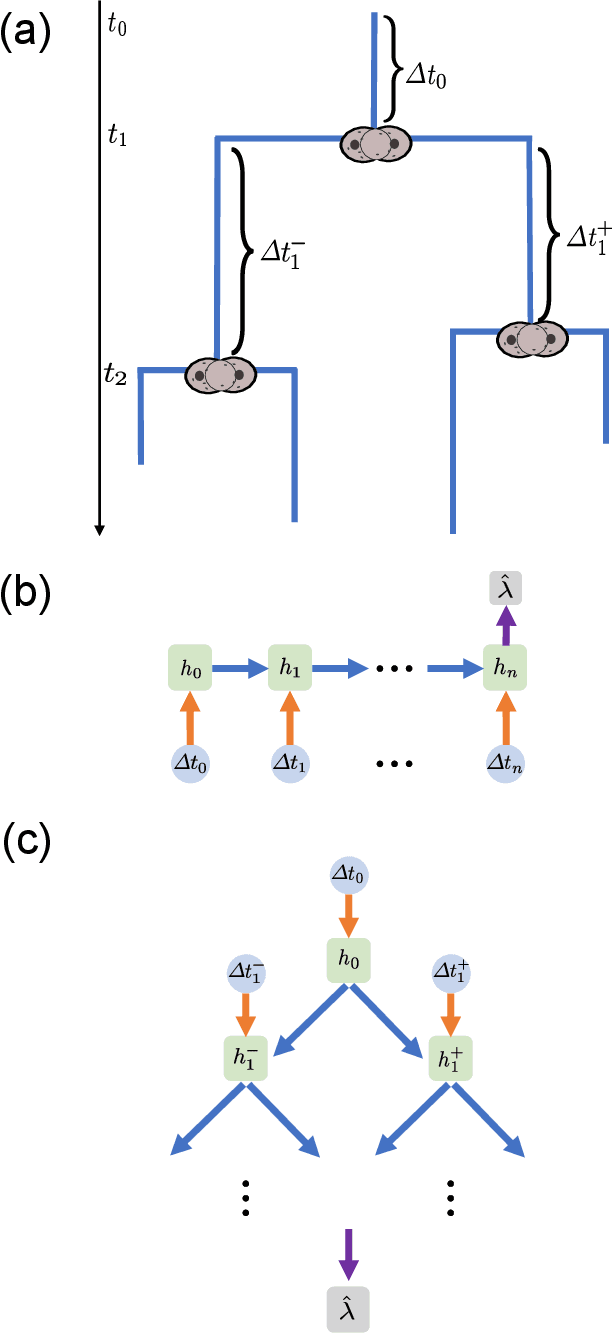 Figure 4 for Detecting chaos in lineage-trees: A deep learning approach