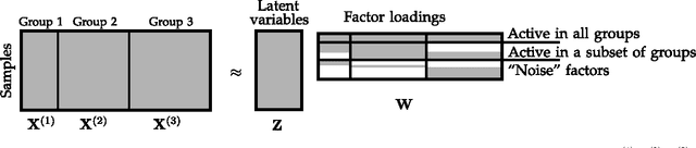 Figure 1 for Group Factor Analysis
