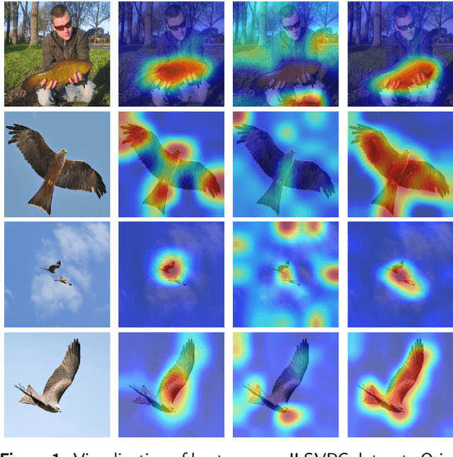 Figure 1 for VS-CAM: Vertex Semantic Class Activation Mapping to Interpret Vision Graph Neural Network