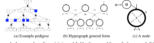 Figure 1 for Explainable Genetic Inheritance Pattern Prediction