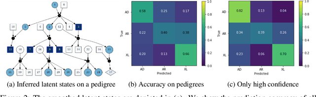 Figure 2 for Explainable Genetic Inheritance Pattern Prediction