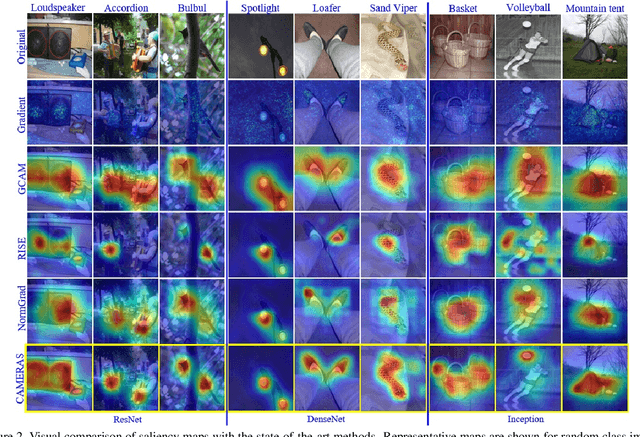 Figure 3 for CAMERAS: Enhanced Resolution And Sanity preserving Class Activation Mapping for image saliency