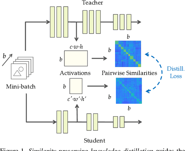 Figure 1 for Similarity-Preserving Knowledge Distillation