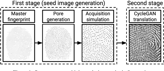 Figure 1 for Level Three Synthetic Fingerprint Generation