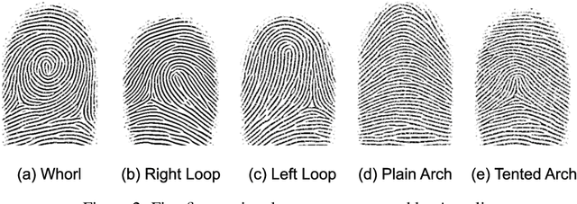 Figure 2 for Level Three Synthetic Fingerprint Generation