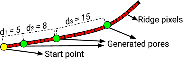 Figure 3 for Level Three Synthetic Fingerprint Generation