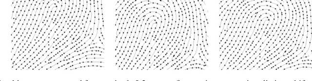 Figure 4 for Level Three Synthetic Fingerprint Generation