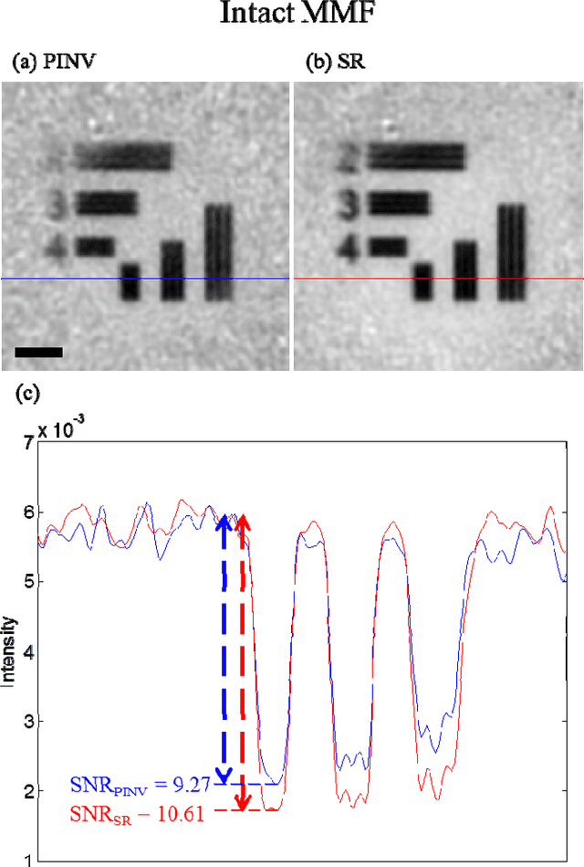 Figure 4 for Holistic random encoding for imaging through multimode fibers