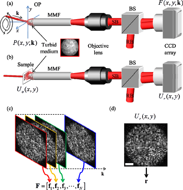 Figure 1 for Holistic random encoding for imaging through multimode fibers