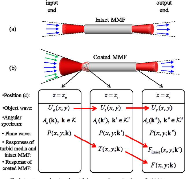 Figure 2 for Holistic random encoding for imaging through multimode fibers
