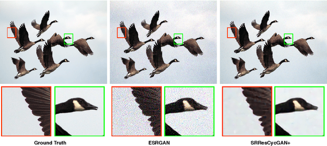 Figure 1 for Deep Cyclic Generative Adversarial Residual Convolutional Networks for Real Image Super-Resolution