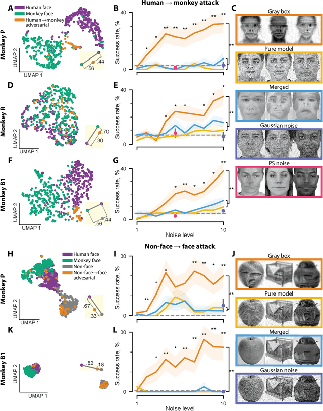 Figure 2 for Adversarial images for the primate brain