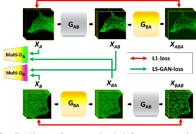 Figure 1 for Blind Deconvolution Microscopy Using Cycle Consistent CNN with Explicit PSF Layer