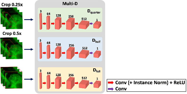 Figure 4 for Blind Deconvolution Microscopy Using Cycle Consistent CNN with Explicit PSF Layer