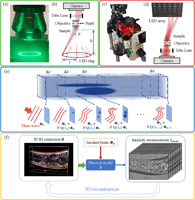 Figure 1 for High-fidelity intensity diffraction tomography with a non-paraxial multiple-scattering model