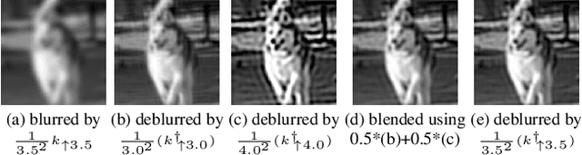 Figure 3 for Single Image Defocus Deblurring Using Kernel-Sharing Parallel Atrous Convolutions