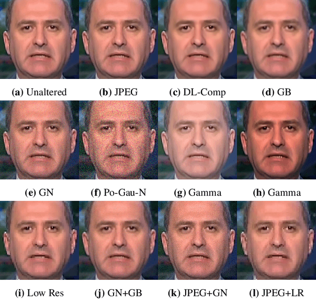 Figure 1 for A Novel Framework for Assessment of Learning-based Detectors in Realistic Conditions with Application to Deepfake Detection