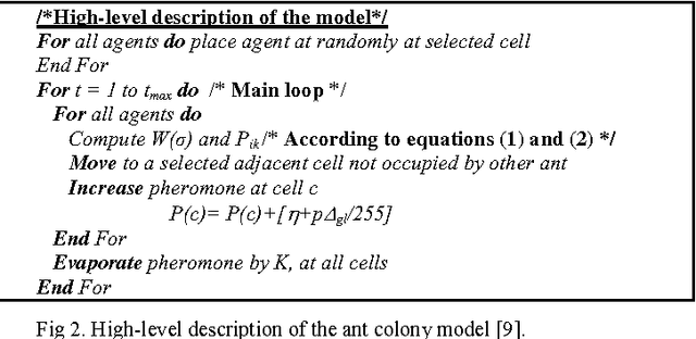 Figure 3 for Self-Regulated Artificial Ant Colonies on Digital Image Habitats