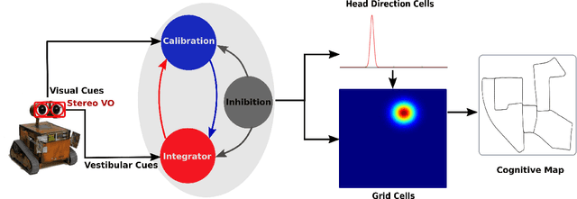Figure 1 for StereoNeuroBayesSLAM: A Neurobiologically Inspired Stereo Visual SLAM System Based on Direct Sparse Method