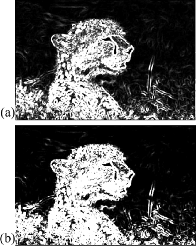 Figure 3 for Robust Image Segmentation in Low Depth Of Field Images