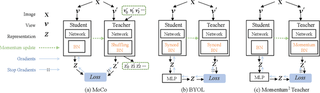 Figure 1 for Momentum^2 Teacher: Momentum Teacher with Momentum Statistics for Self-Supervised Learning