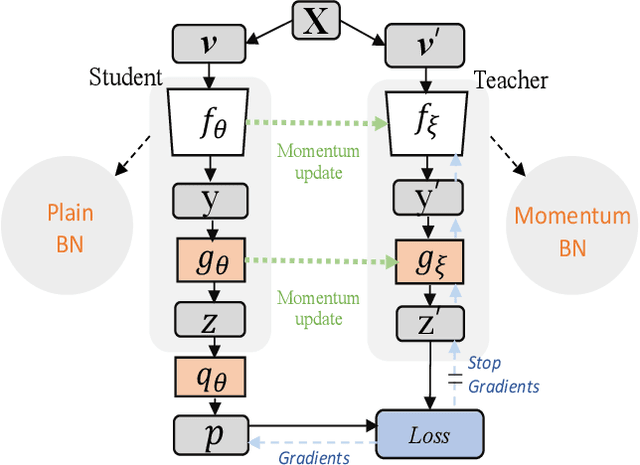 Figure 3 for Momentum^2 Teacher: Momentum Teacher with Momentum Statistics for Self-Supervised Learning